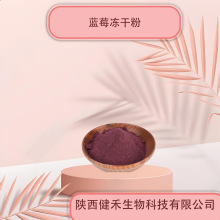 蓝莓冻干粉 蓝莓花青素食品级 蓝莓冻干粉