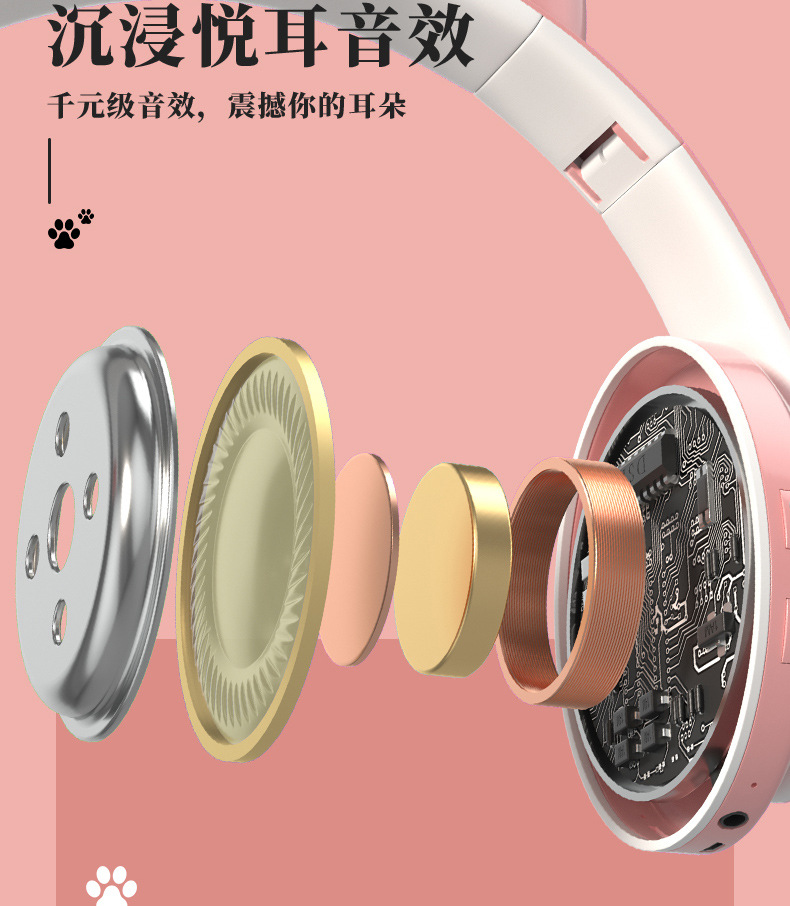猫图详情_09