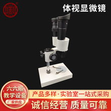 �wҕ�@΢�R�pĿ���wҕ����40���@΢�R�W������̌W�x��