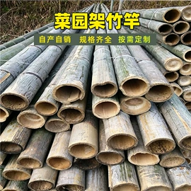 竹木藤苇干草;其他农业;温室、大棚