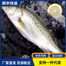 ���r������|�~�r���ك��������l�|�~���~�����~���ú��rˮ�a���l