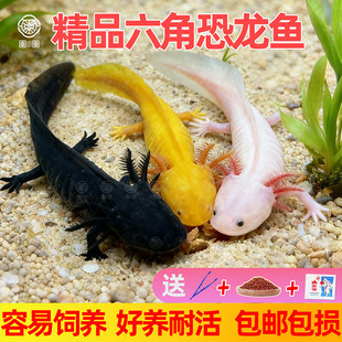 ���ǿ����~�����~��ˮ�������ˮ�^�p�~�Ȍ����B�ͻ�\ˮ��Bϔ�