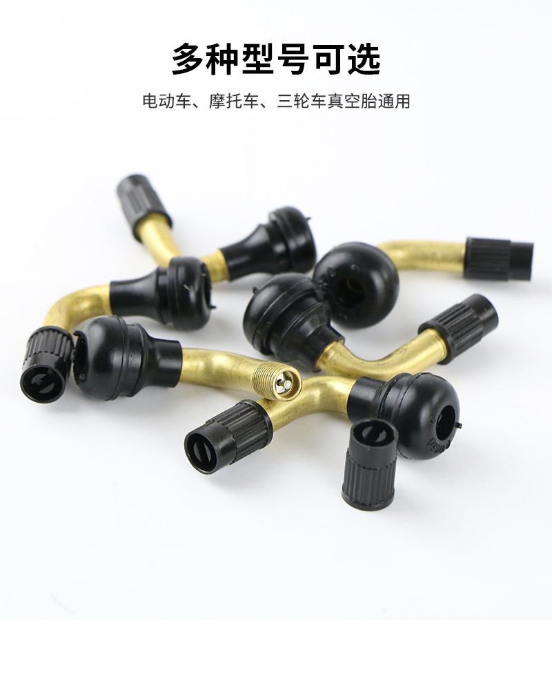Mike Electric Vehicle Valve Vacuum Tire Valve Tire Valve Electric Vehicle Motorcycle Tricycle Air Wholesale