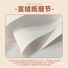 白背景纸磨砂质感不反光人像静物拍摄白底图淘宝主播直播间单色抠
