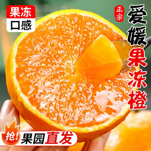 ���ڐ���38̖���������r���Ӯ���ˮ���Ĵ��۽۸����ք���������]