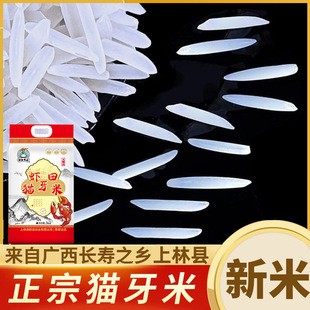����؈�������׽z����50��20����Օ��N�YƷ����������L�������