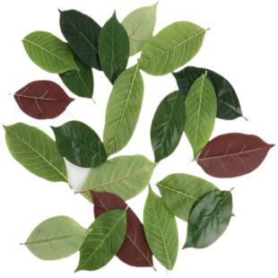 ����Gֲ���m�~����ˮ���^���~�ӵ������bG�~С���~�[�P����