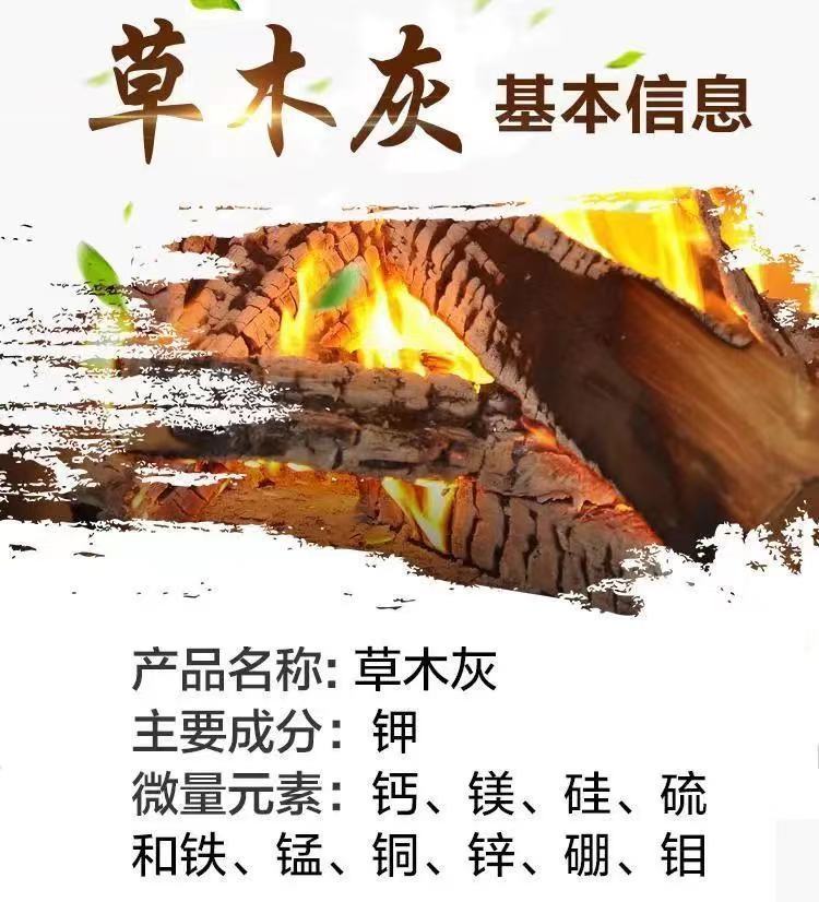 1df8df76-d218-4c0c-94a2-d16cb020e691.jpe