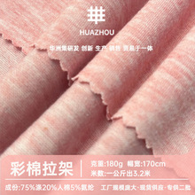 彩棉拉架汗布面料双色阳离子幻彩人棉t恤面料TR人棉针织布料布匹