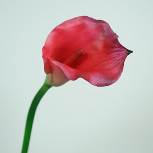 ���ָд�֦�R��ɏ�F���p��ܛ�b����ƿ�廨�[���Ҿ��ҕ����ˇ�ٻ�