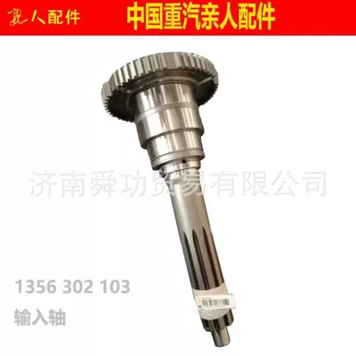 Transmission gear and shaft ZF gearbox input shaft