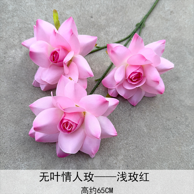 Amantes sin hojas Mei Lihong