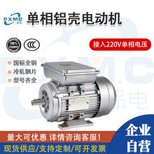 品鑫YL单相铝壳电机220V家用电压全铜芯国标两相马达180/370/750W