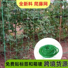爬藤网 植物爬山网绿色园艺花格支承网菊花芹菜百合防风抗倒伏网