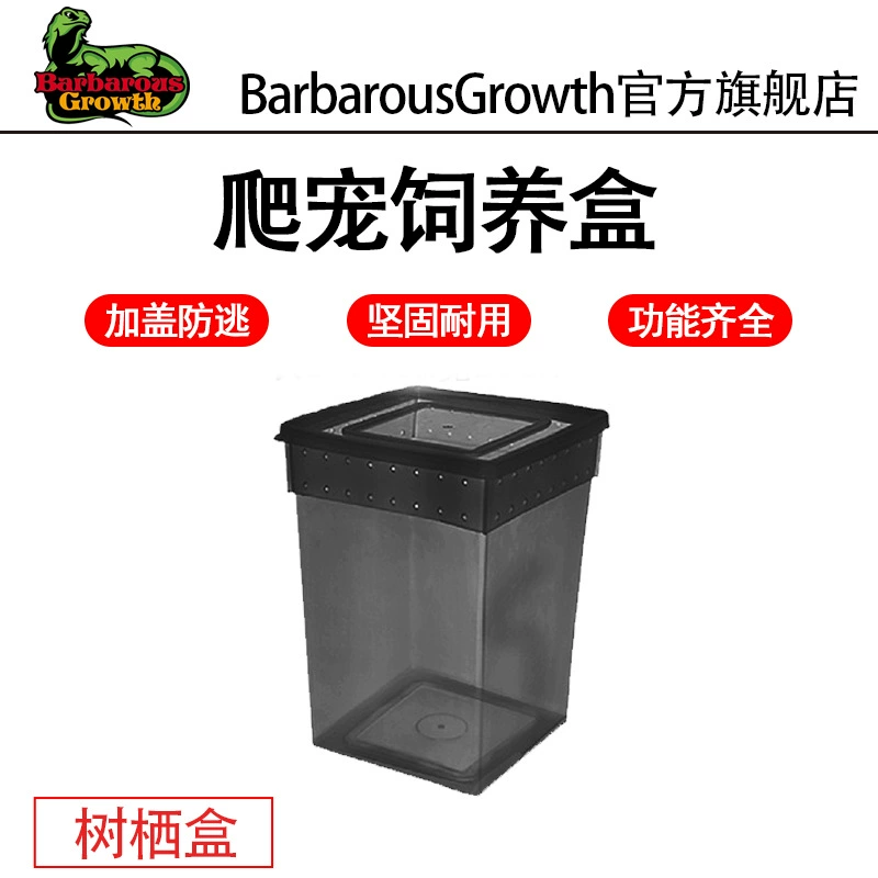 Коробка для кормления рептилий Альпинистская коробка для домашних животных Живое существо Шелкопряд Детский паук Рогатая лягушка Змея Ящерица Улитка Домашнее животное Змея Насекомое Черепаха Танк