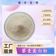 藜麦蛋白粉 80%  藜麦粉 藜麦蛋白肽粉  食品级原料 工厂现货直发