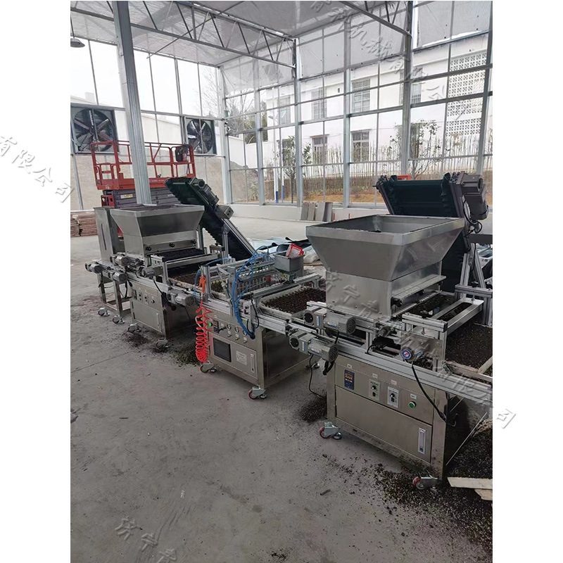 新疆地区辣椒育苗播种机花卉药材种子育秧点播机针吸式育苗点种机