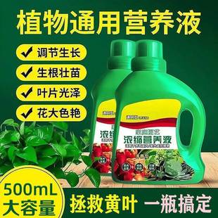 Plant Nutrient Solution, Universal Household Flower-Growing Pothos Hydroponic Green Plant Succulent Potted Money Tree Liquid Fertilizer
