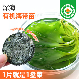 �ЙC��������ѿ�����z�r����Չ��s�Y��؛���}�nϼ���خa��偛���