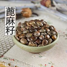 ��������؛�����ӟo������Ѽt�������вı����ʱ���N������