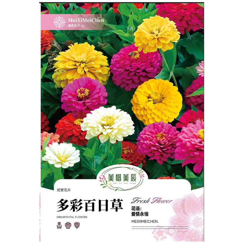 Flower Seeds Zinnia Potted Flower Seeds Planting Flower Seeds Seeds…