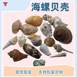 海螺/贝壳;沙石砾石;玻璃工艺品