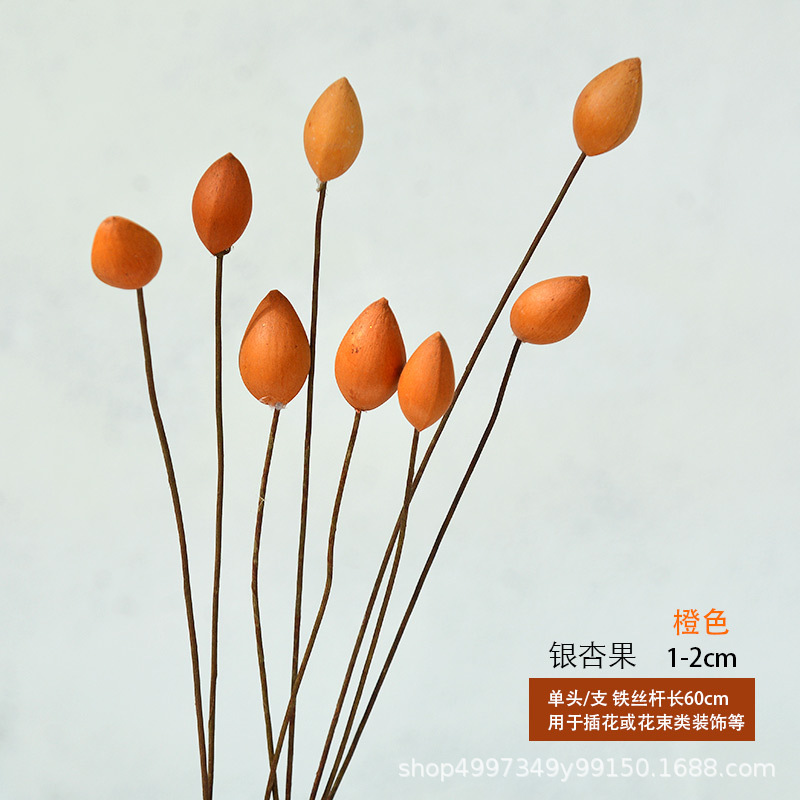800橙色.jpg