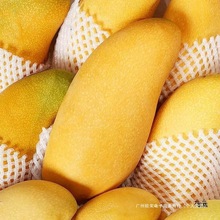 海南金煌芒水仙芒果10斤装整箱热带水果新鲜大芒果甜心芒金兴中国