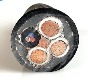 ������| MYP/MYPT ú�V���Ƅ���������ܛ��| �V����|�S�� �A��