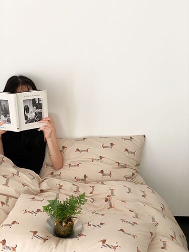 A-type 100% Cotton Knit Bedding Set - Pure Cotton Tuscany Cotton Cartoon - Pug Cartoon, Single/Double Bed Sheet and Bed Skirt
