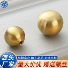 ���ư��֙����ο׌��ĈA�ΰ����S�~�A����������������T������