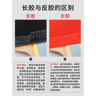 Table Tennis Racket Six-Star 6-Star Long Inverted Rubber Offensive and Defensive Long Rubber Particle Rubber Chopping Ball Straight Horizontal Single Raw Rubber Wholesale