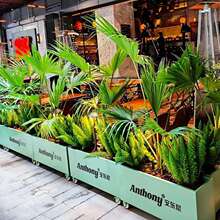 ��\����⻨����Ƅӎ�݆�ӻ��軨�������[���ڸ�����݆�Ӷ�