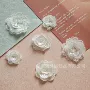 小号立体透明亮片布布贴