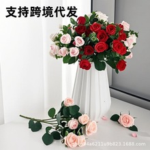 RdNȼݷõ廨 bֲ辰