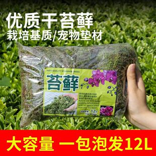 ��̦�\ˮ̦��̦�m�������mʯ���Nֲ�I�B�����������|��