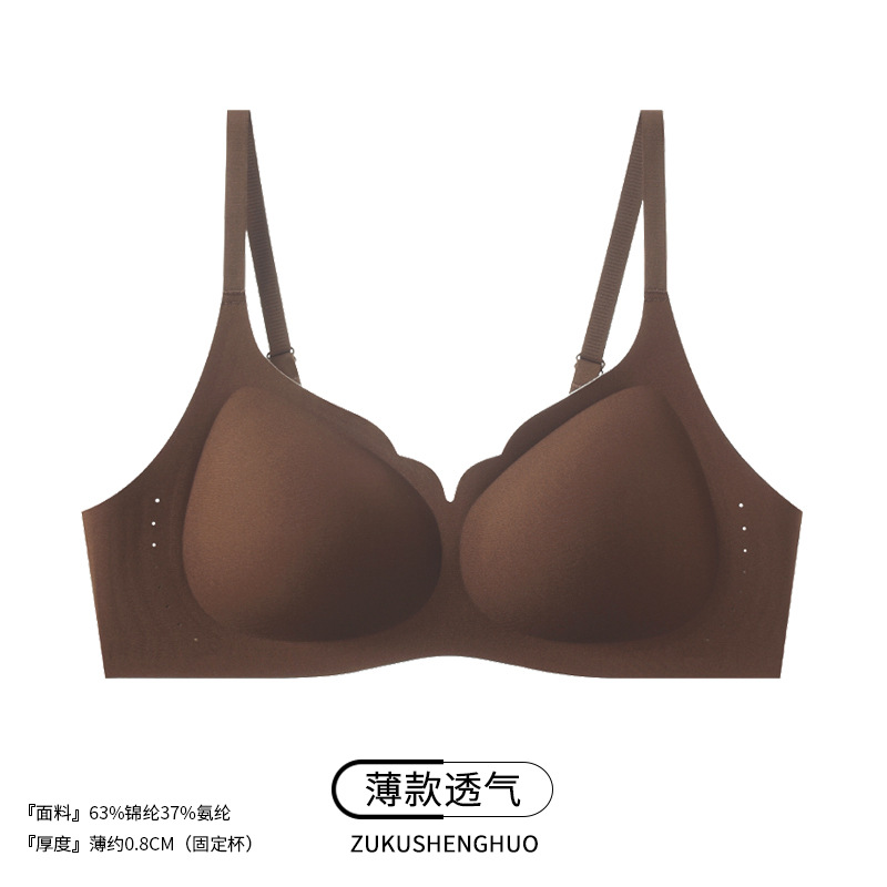 허니티브라운-2608