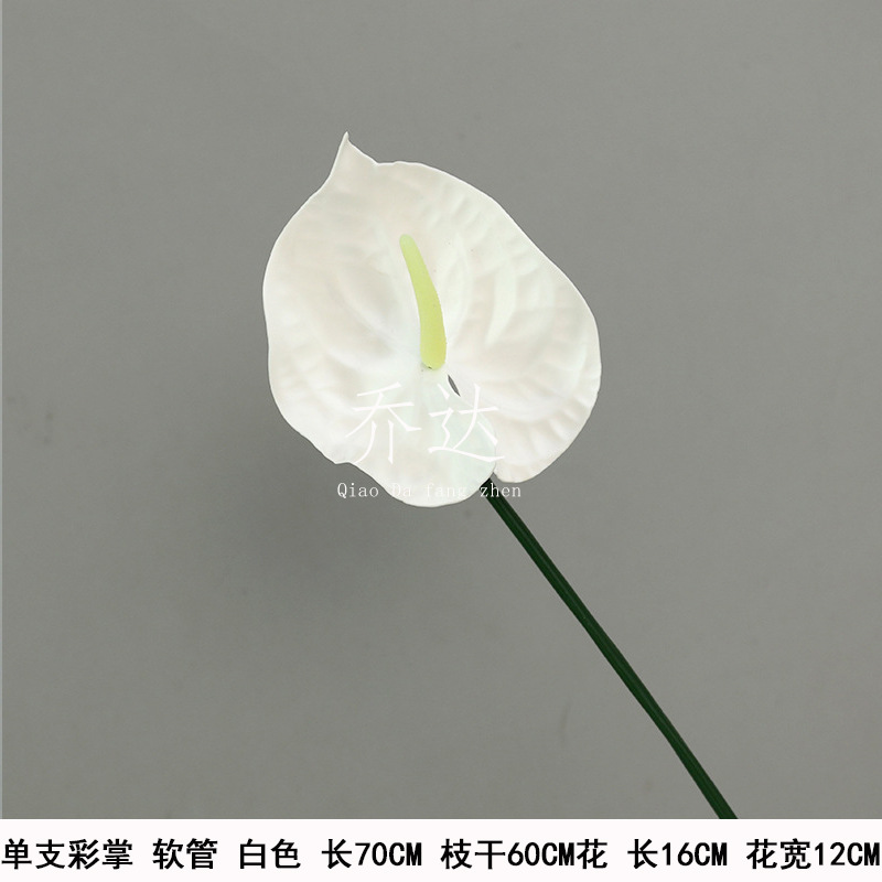 Sola manga Rod de la manguera de La Palma del color