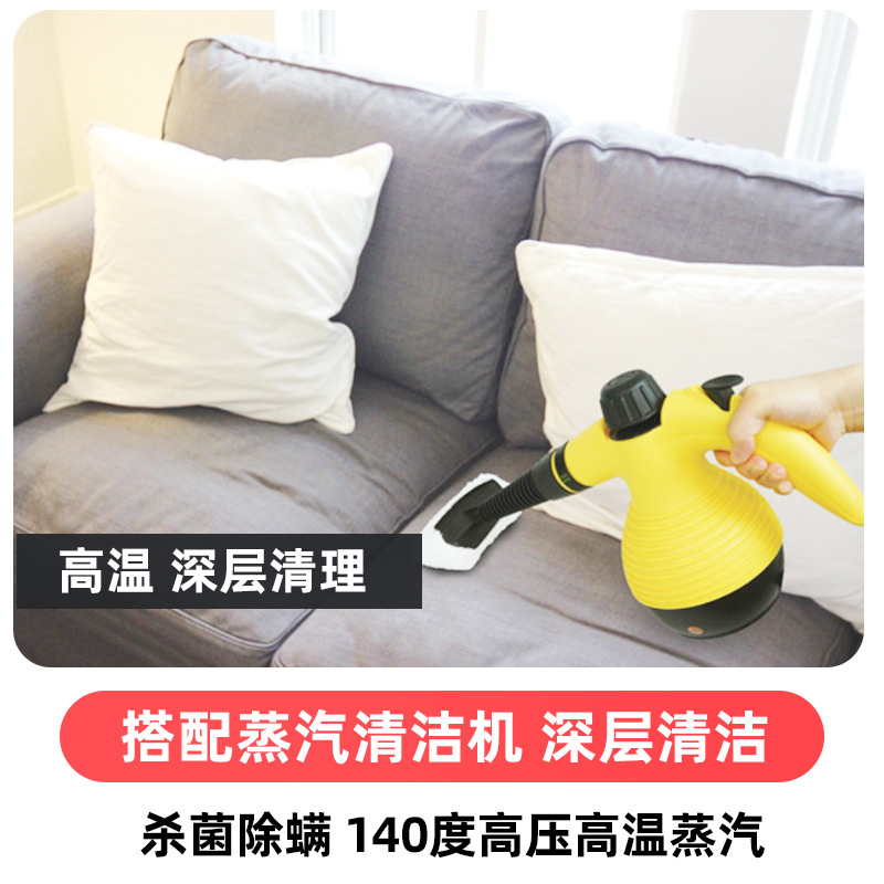 고온 및 고압 스팀 청소기
