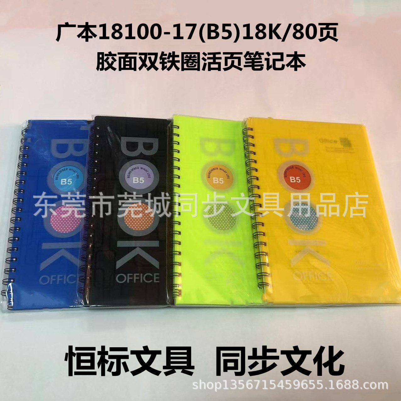 Cuaderno Espiral Doble Anillo B5 80 Páginas