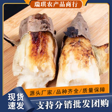 ���ڹ��ܰ���9���������r������10���]���l5�������������t���ع�