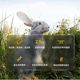 Bitian Natural Herbal Complete Nutritional Rabbit Food 2500g High Fiber Low Grain Low Starch Rabbit Staple Food Rabbit Feed