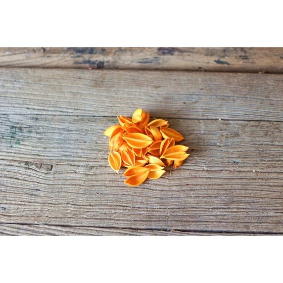 Sycamore Shell Natural Plant Fruit Shell Dried Flower Material Creative Handmade Stitching Dried Wreath Photo Frame Lotus Material