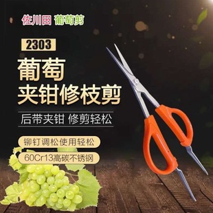ꖹ�õ�������߹����ü����N�^�������֦ˮ��ϡ�������ȡ��