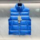 Autumn and winter dark pattern presbyted flower stand collar zipper goose down filling new men's down vest men vest coat