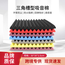 ���l�羳���ܶȸ����ށ��R�d��ȼ���������҃���ճ���ǲ�������