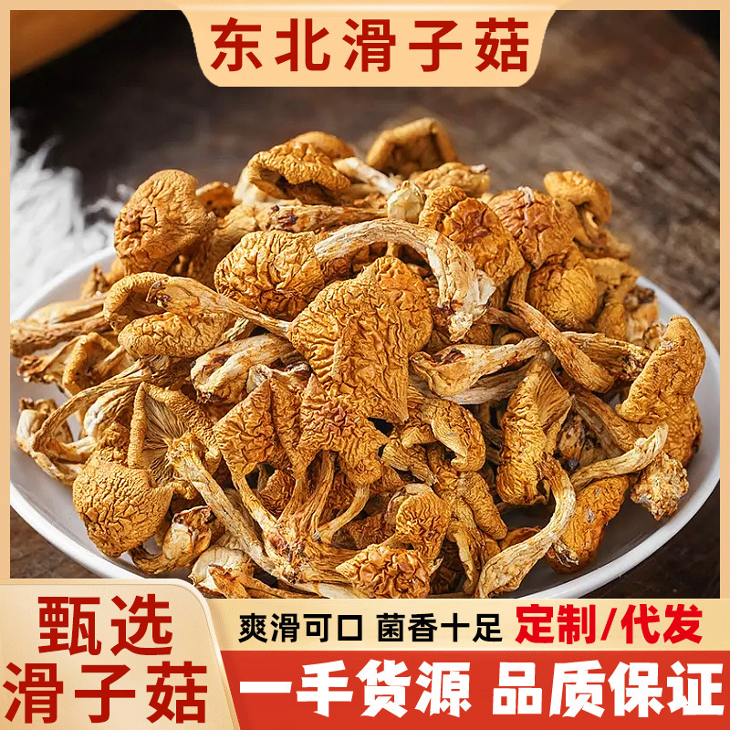 精选特产滑子菇食用菌滑子蘑煲汤食材滑子菇散装批发250克装