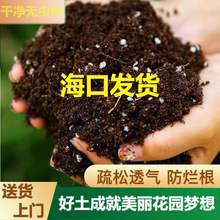 海南营养土养花专用通用种菜有机黑土室内盆栽土壤种植泥炭土包邮