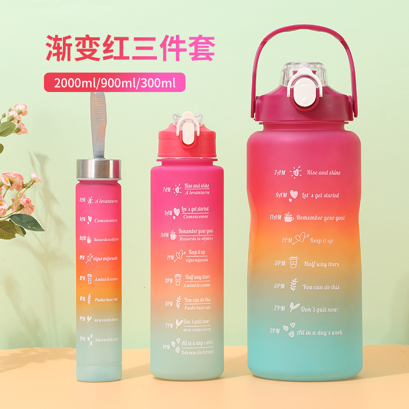 Set de 3 Botellas Deportivas de Plástico Degradado, Gran Capacidad con Pajita - Vasos Esmerilados para Amazon al por Mayor image 11