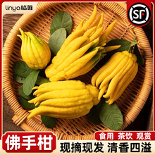 ���ָ�ˮ��ֲ�֦�r�����r���ֹϔ[���҃�ˮ�B�Gֲ���Բ廨�^�p